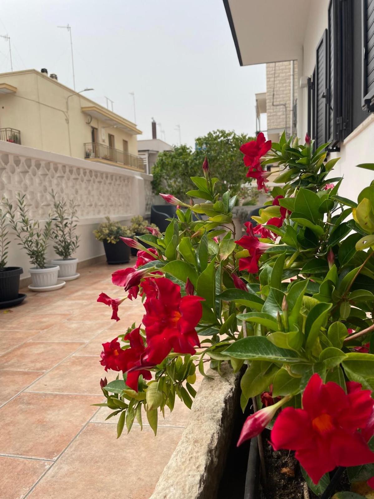 Villa Rosa Dei Venti Polignano a Mare Esterno foto